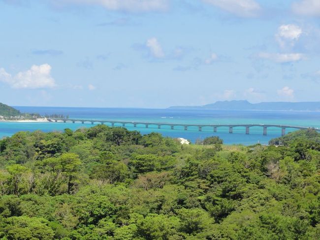 この南国感いいね〜。