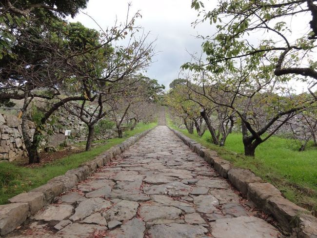 通路も立派です。