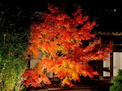 南禅寺天授庵本堂前庭