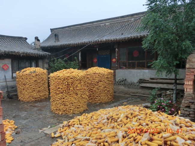 門票買って入るので、城内はどこでもフリーパス <br /><br />とある四合院に入ったらトウモロコシの山積みだった <br />