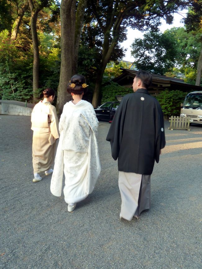 感動の弟の結婚式 明治神宮 ２０１２年再帰国編 原宿 東京 の旅行記 ブログ By サウスピーチさん フォートラベル
