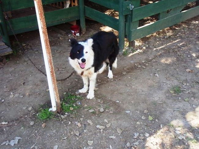 視線いただきました！