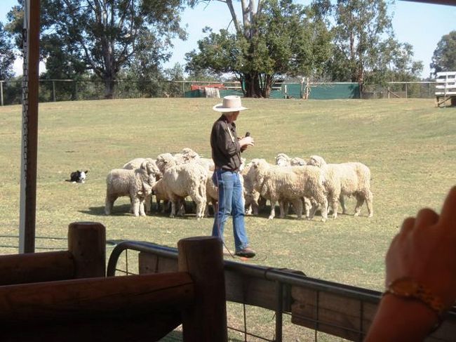 にらみをきかせています。