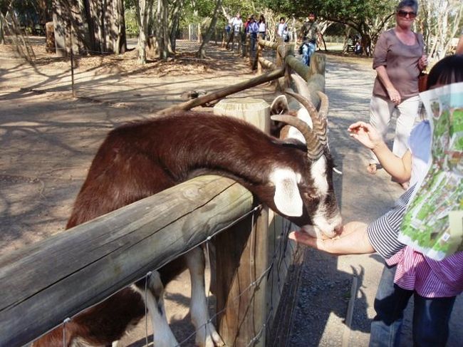 やぎさんがっつきすぎ！