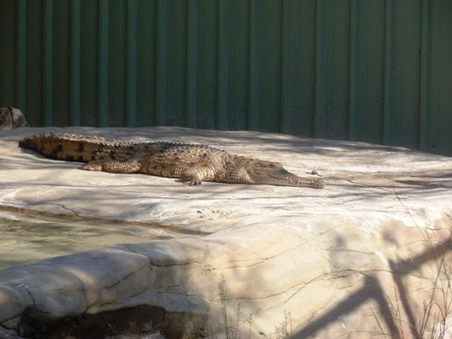 ひなたぼっこ、気持ちよさそう〜♪