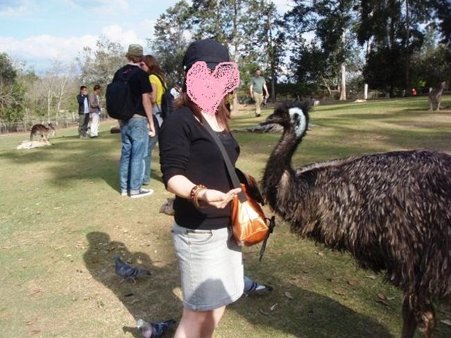 エミューにも餌をあげられます。<br />思った以上の大きさにビビってます・・・