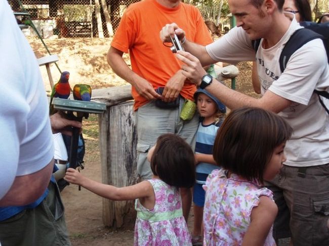 こんなに近くで見られますよ！