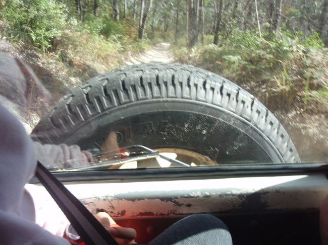 森の中もかけまわるよ！<br />ばんばん跳ねます！<br />天井に頭をぶつけそう！！