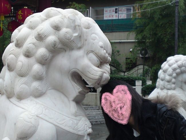 やるよねーｗｗｗ<br /><br /><br />・・・このあと、寒波のため横浜に雪が降り、成田空港に着くはずの飛行機が遅れに遅れまくり、２１時に着くはずの桃園空港には２４時着となったのであった・・・<br /><br /><br />ホテルがキャンセルになったらどうしよう！！<br />・・・とあわてまくって、ホテルに電話をかけました。<br />何せ、初台湾。台湾語しかわからないスタッフだったらどうしよう・・・とびくびくしていたら、英語が話せるスタッフが対応してくれて、ほっとしました。<br />