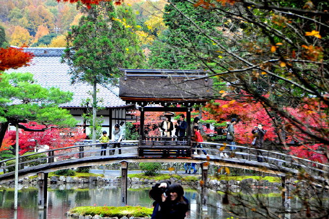 新緑の時も来ましたが静寂に包まれ<br />落ち着いた雰囲気でゆっくりできる永保寺ですが、<br />秋はひと際多くの写真愛好家や<br />ツアー客で賑わいます。<br />耳をダンボのように傾ければ<br />中国の観光団体が多く見えました、