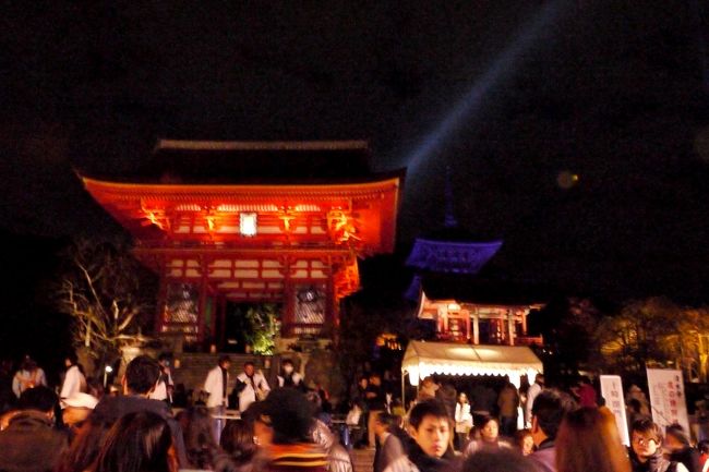 きれいだ　仁王門と三重塔　すこしピンボケ　入場料400円