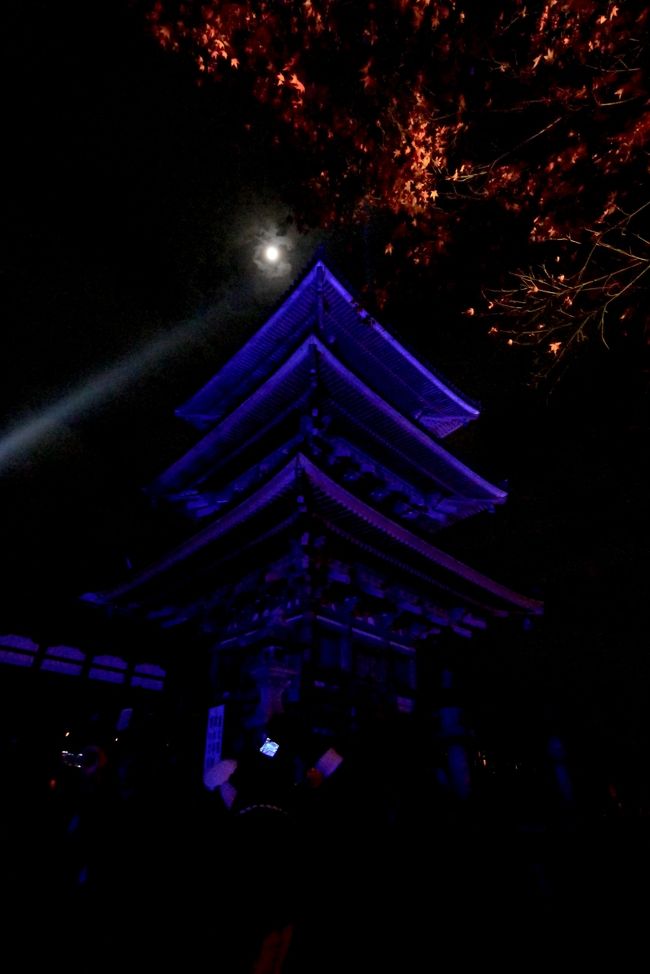 今日は糖尿病にちなみ，ブルーにライトアップ．国際学会は糖尿病だ．