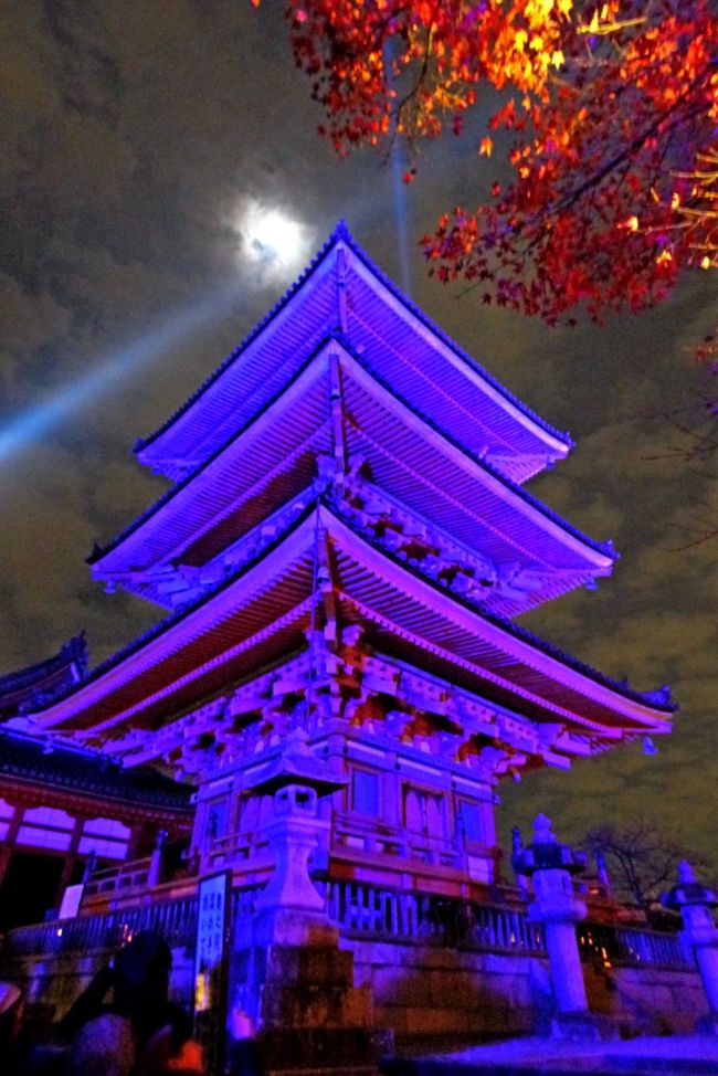 条件を変えて撮影．高幡不動の万燈会のブルーライトアップのほうがきれいと思う