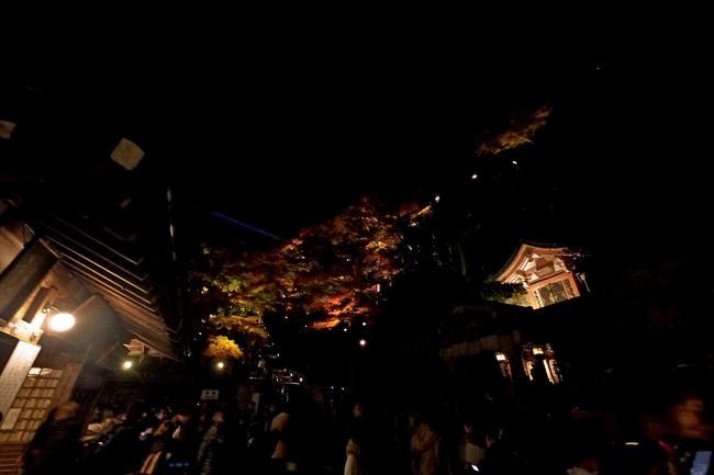 音羽の滝のところ