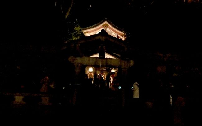 暗すぎてよくわからない