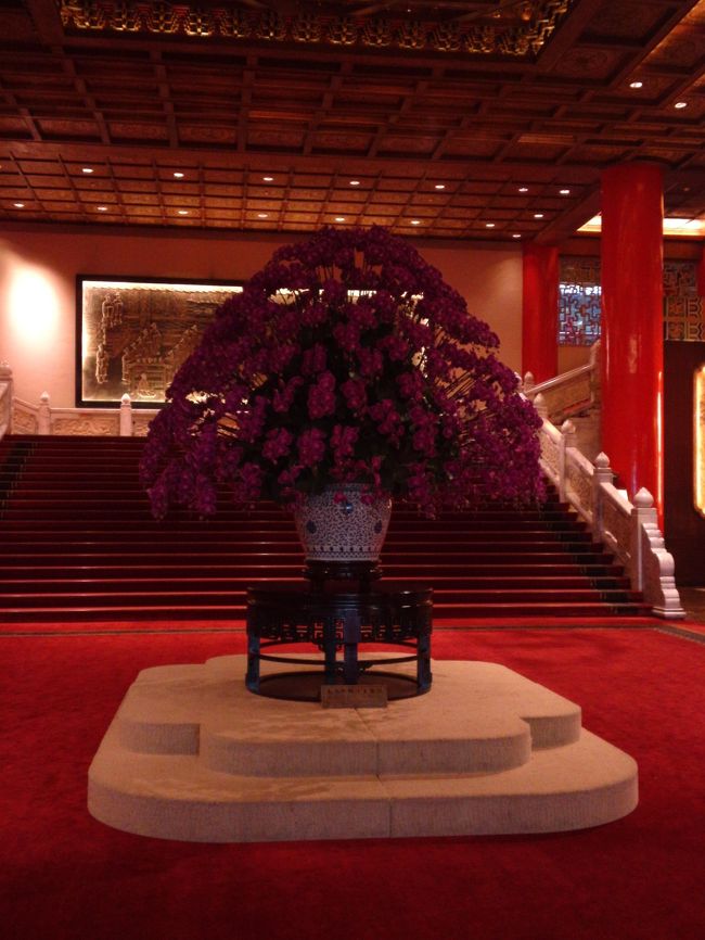 蘭かなぁ？<br />大きい！！