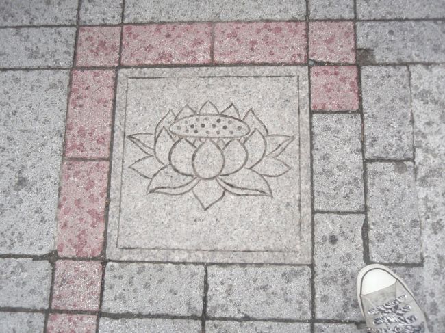 歩道に蓮の花。