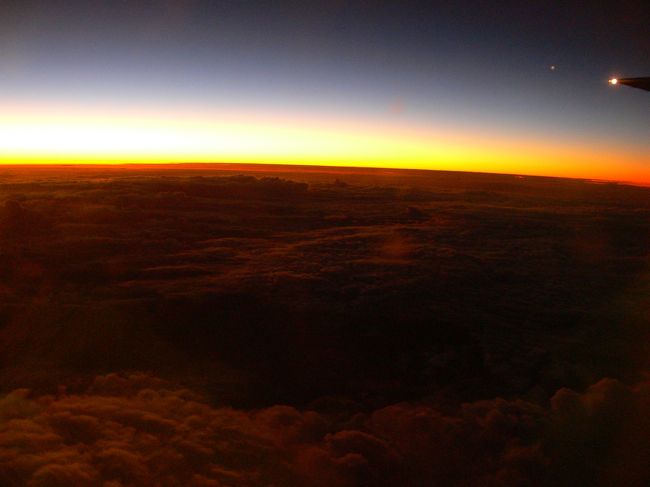 ●エピローグ●<br />ずーっといきたいと思っていた国、マダガスカル。<br />バオバブくらいしかイメージ無かったんですが、<br />行ってみなくちゃわからない不思議がいっぱいの国でした。<br /><br />ってことで驚いた不思議一覧！<br /><br />・料理がうまい！<br />　あまり期待していませんでしたが、<br />　食べたほとんどの料理は日本人の舌に合うモノばかり。<br />　ゼブ牛も魚介類も美味でした。<br /><br />・マダガスカル航空は当てにならない<br />　前日夕方にならないと翌日の飛行機の時間がわからない。<br />　いきなり欠航はザラ。<br />　私たちのように、モロンダバ⇒トゥリアーラ⇒アンタナナリボのような<br />　変なルートも当たり前。<br /><br />・朝はめちゃくちゃ早い。<br />　普通の人の気象時間は朝5時くらいなんだとか。<br />　もちろん夜も早いです。<br /><br />・アフリカではなくインド洋系<br />　ご飯を普通に食べる民族で、島自体はアフリカから離れたのではなく、<br />　インド洋をさまよってここに流れ着いたららしい。<br /><br />・中国人がすでにいろんな事業で進出を始めている。<br />　　そしてすでに現地の人からは厄介に思われている。<br />　　まぁこれに関してのコメントは差し控えますが、<br />　　つまりそういうことです。<br /><br /><br /><br />っとまぁ自然いっぱいのマダガスカル。<br />本当に楽しい新婚旅行になりました。<br />最後に、お世話になった皆さん、ありがとうございました！