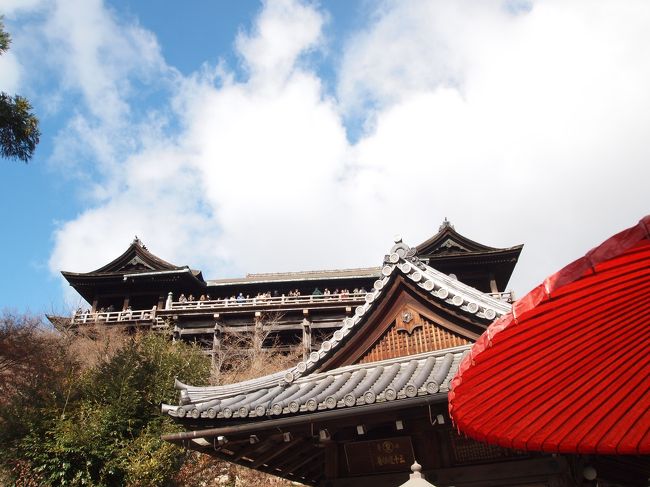 珍しい角度で撮ってみました。