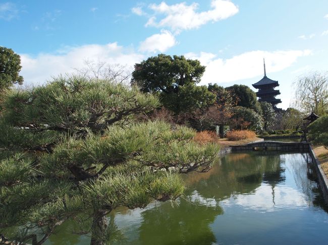 最後に、東寺を見て帰りました。