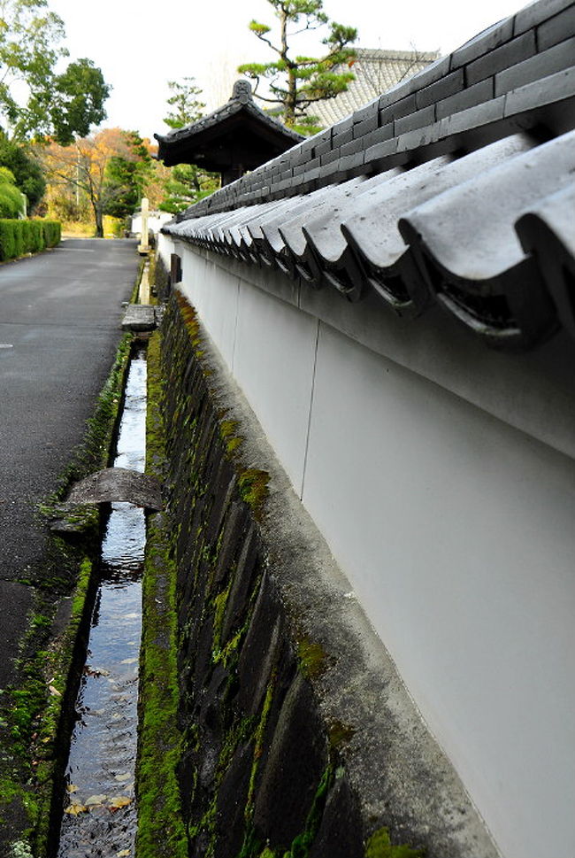 2012 紅葉　（10）多治見・永保寺の紅葉