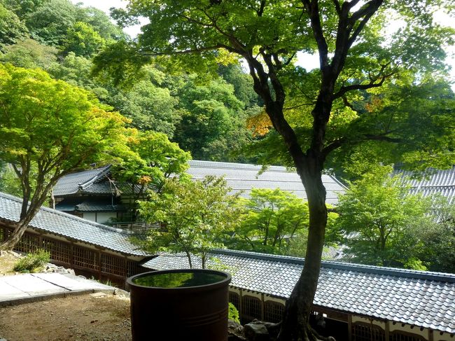 奥の細道を訪ねて第15回36永平寺その3法堂・仏殿・中雀門一帯