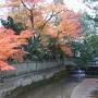 2012年秋は滋賀の紅葉ざんまいの旅！（前編）～多賀大社・湖東三山・永源寺～