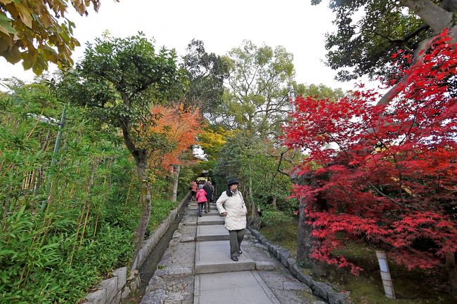高台寺への上りの階段