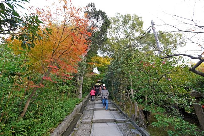 このあたりも紅葉がきれい