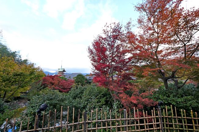 東山霊山（りょうぜん）の山麓、八坂法観寺の東北にある。正しくは高台寿聖禅寺といい、豊臣秀吉没後、その菩提を弔うために秀吉夫人の北政所（ねね、出家して高台院湖月尼と号す）が慶長11年（1606）開創した寺である。寛永元年（1624）７月、建仁寺の三江和尚を開山としてむかえ、高台寺と号した。造営に際して、徳川家康は当時の政治的配慮から多大の財政的援助を行なったので寺観は壮麗をきわめたという．尚、豊臣秀吉夫人（北政所）は天正16年（1588）に従一位に序せられ慶長８年（1603）に後陽成天皇より高台院の号を賜り寛永元年（1624）９月６日、76才で亡くなられた．<br />http://www.kodaiji.com/about.html