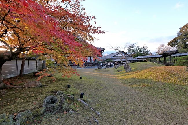 ふりかえって方丈をみる