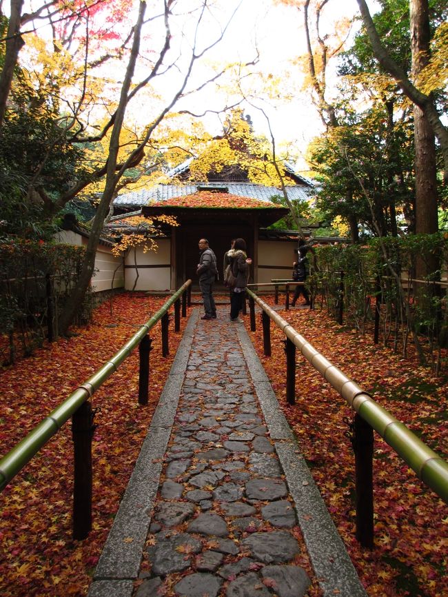 ２０１２年 京都 紅葉 嵐山と大徳寺塔頭 高桐院 嵐山 嵯峨野 太秦 桂 京都 の旅行記 ブログ By イロコさん フォートラベル