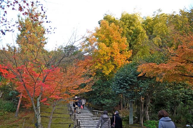 傘亭の方へ登っていく