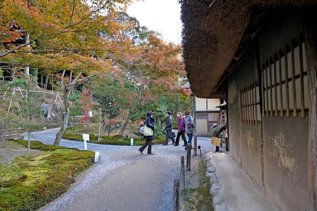 傘亭から時雨亭の方を見る