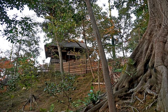 1629　そろそろ暗くなった中を時雨亭から下る．