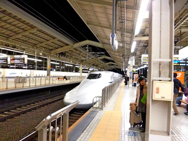 一人は新横浜下車，私ともう一人の同僚は東京下車．東京2153着．中央線が遅れて自宅には2350についた．今回は国際学会に参加した割には夜間やポスターセッションの時間，最終日の午後などを使い紅葉をよく見ることができた．