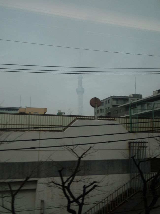 行きの成田エクスプレスの車窓から。<br />スカイツリーが見えます！