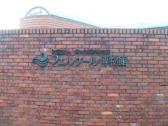 試合に負けてがっくり・・・そのまま帰るにしても時間があったので、フェルケール博物館というところに寄ってみました。昔の清水港博物館なんだそうです。