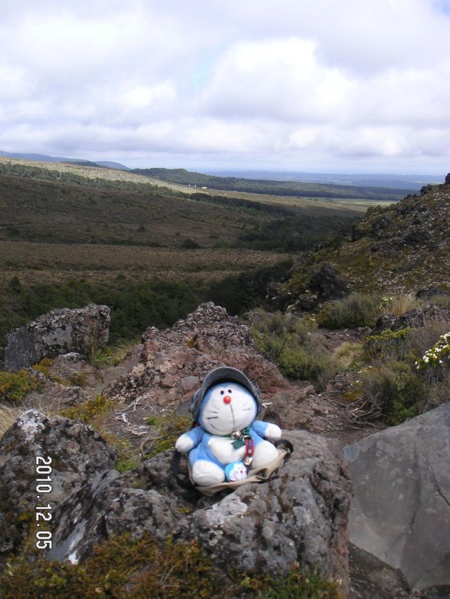 溶岩の残る荒涼としたところでも・・・・