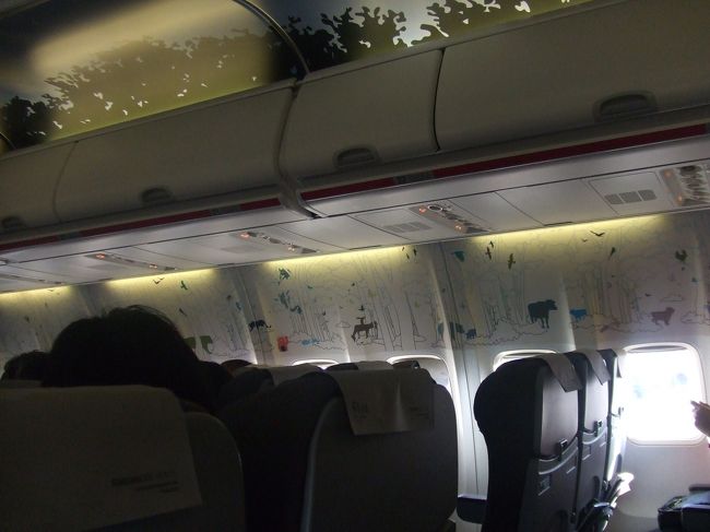 ４日目、まだ外が暗いうちにホテルを出発。<br />途中お土産物屋さんに立ち寄り、空港へ。<br /><br />帰りもイラストが描かれた飛行機で帰国☆<br />楽しかった韓国(*≧∀≦*)<br />また絶対行きまーす( ´ ▽ ` )ﾉ