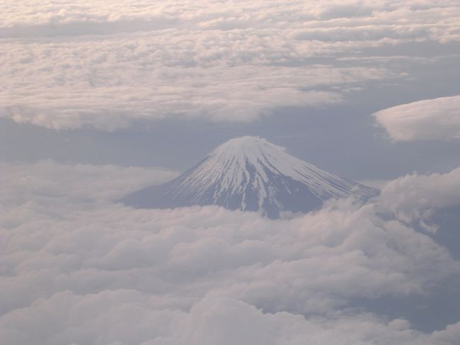 東京から那覇までは夕方のJAL便で、仕事の後に移動します。<br /><br />この日は富士山もよく見えました。<br /><br />レンタカーで日航アリビラに夜１０時ころ到着。