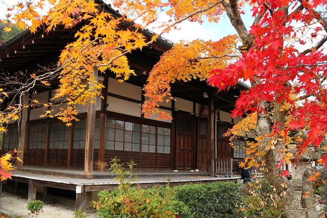 気ままな旅の物語⑧-秋の京都へ紅葉散策2012 さすが京都屈指の紅葉名所 常寂光寺 編ー
