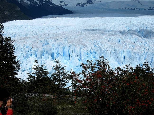 さらにバスに乗って移動し、ペリトモレノ氷河に到着。１時４５分までフリータイムだということで、ゆっくり見学することにする。駐車場からは氷河が目の前に広がり、早速撮影。