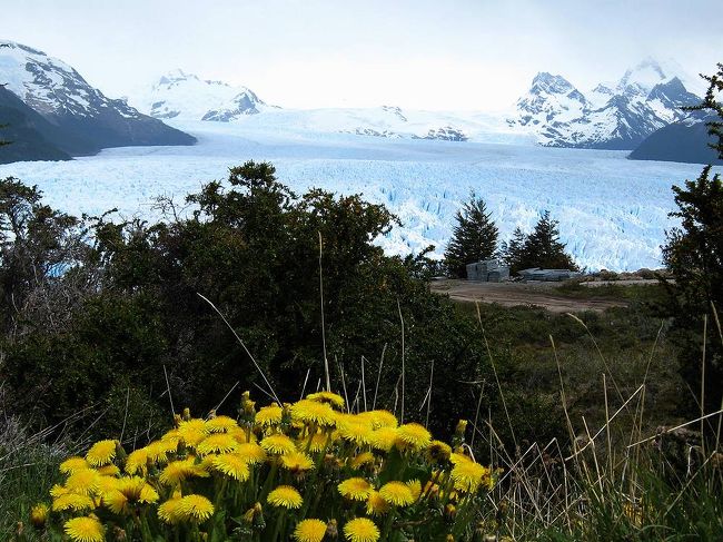 巨大なたんぽぽと氷河。