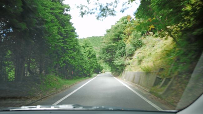 県道44号線，途中まではいい道だったが，またすごい狭い道になる