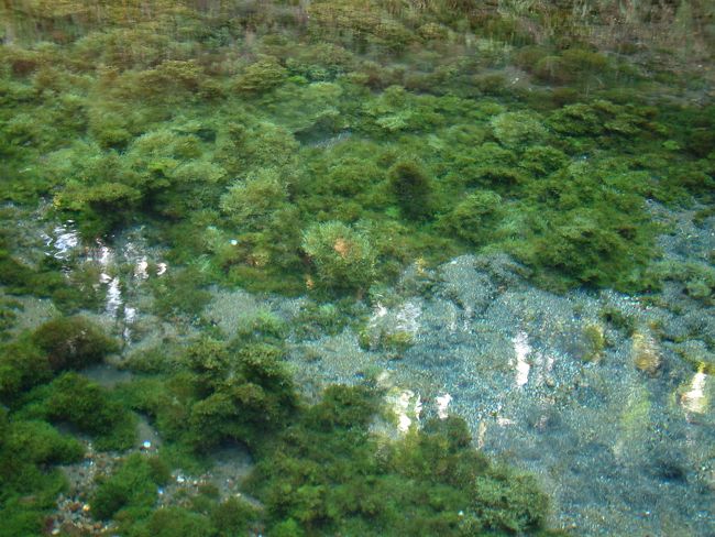 白水で温泉に入り、車中泊。<br />明日は阿蘇だ。<br />