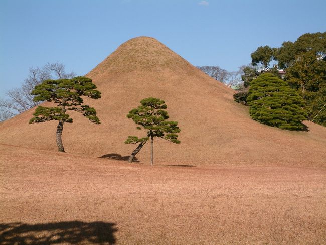 大胆な形状の築山。
