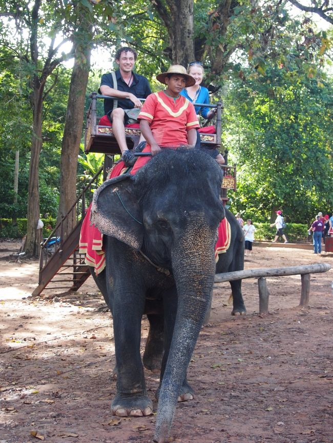少し仮眠を…zzz<br />寝坊しないように目覚ましをかけて、次はアンコール・トムに向かいました<br /><br />南大門の方から歩いて門をくぐります<br />途中象にも乗れます<br />象に乗って遺跡を巡るもの贅沢
