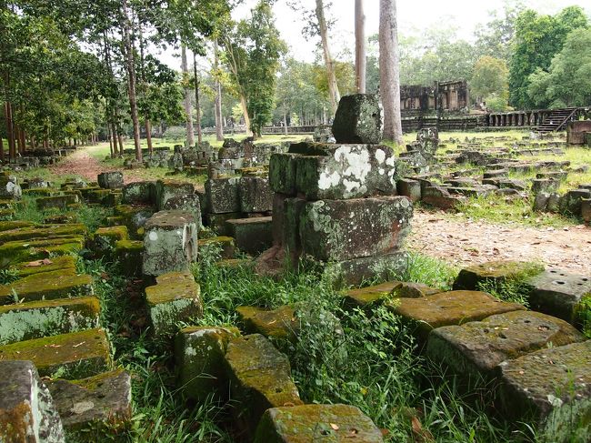遺跡が崩壊していますが、苔が生えていい感じに！！<br />この「遺跡＋緑」癒されます