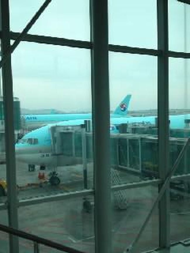 大韓航空での旅でした♪<br />楽しかった！またくるね、ソウル！！